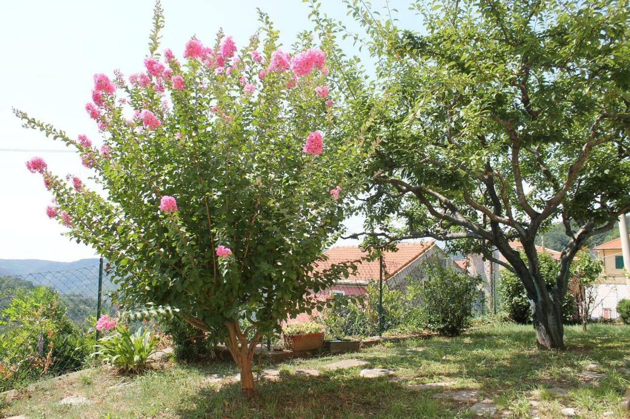La Casetta Di Graziella Apartment Vezzi Portio Exterior foto